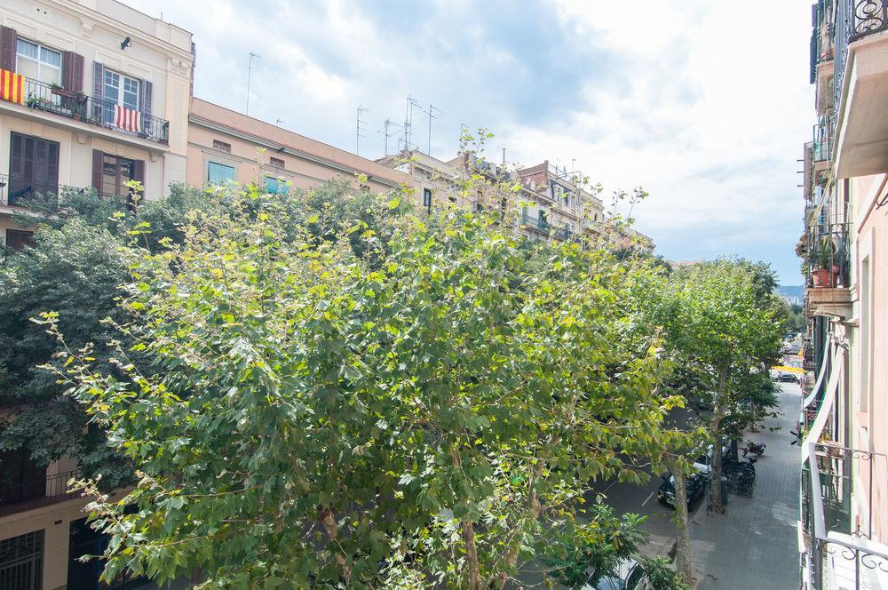 Trivao Sant Antoni Market * Barcellona